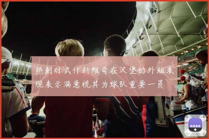 热刺对武什科维奇在汉堡的外租表现表示满意视其为球队重要一员