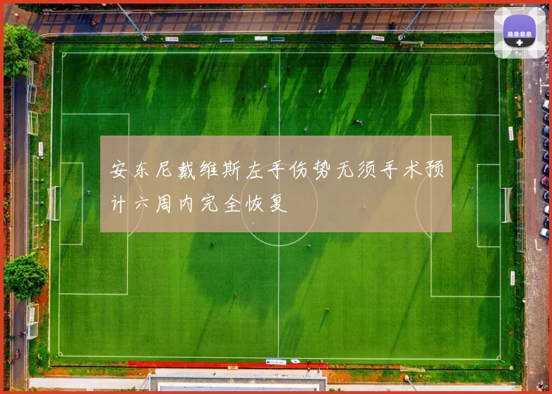 安东尼戴维斯左手伤势无须手术预计六周内完全恢复